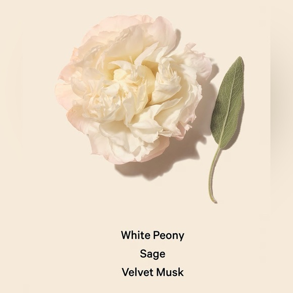 NWT Victoria's Secret Bombshell Seduction Lotion - Picture 2 of 3